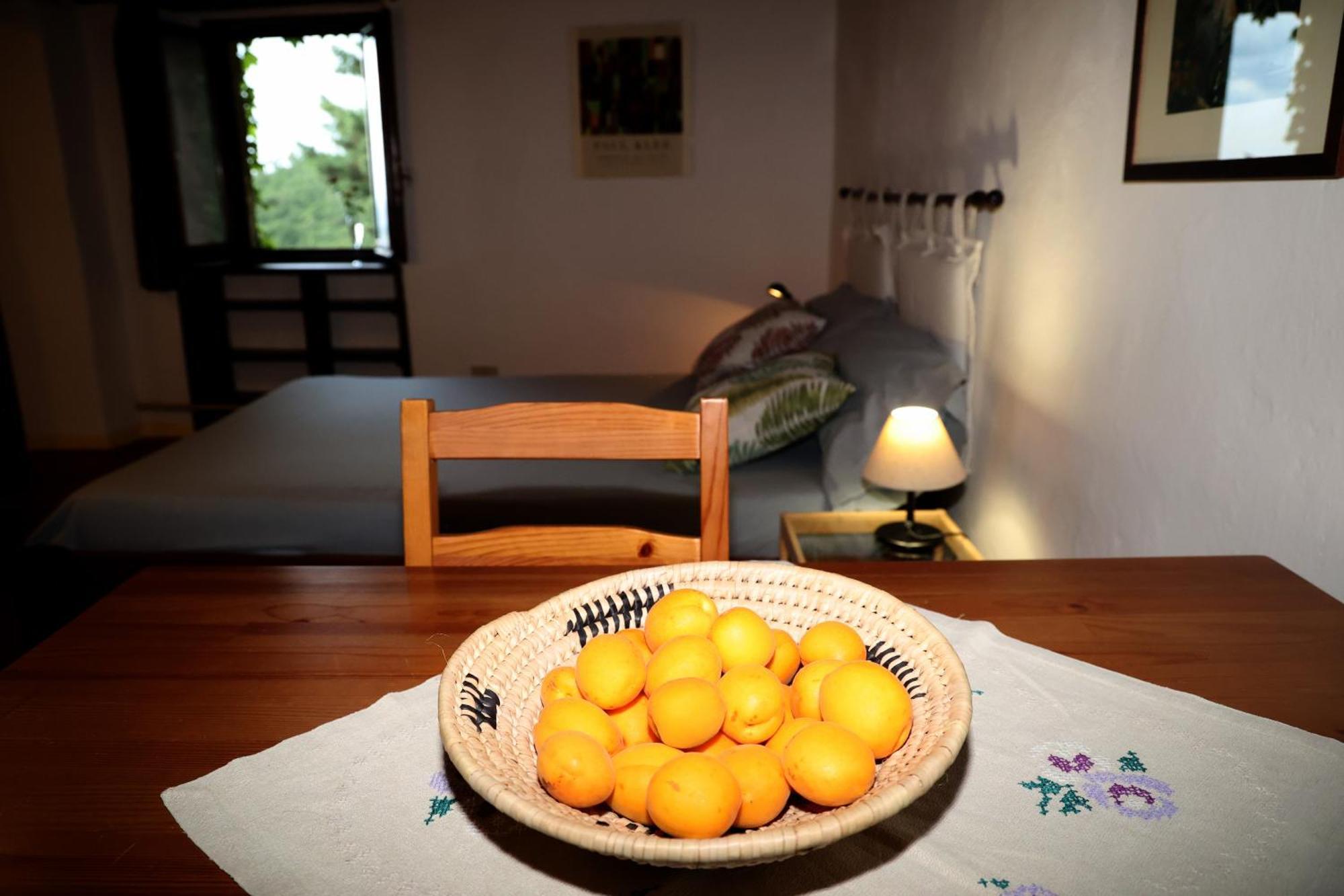 Casa Marju Pensionat Montemassi Eksteriør billede